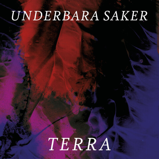 Terra Underbara Saker CD