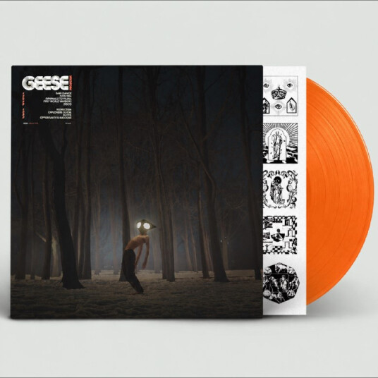 Geese Projector Vinyl 4028236