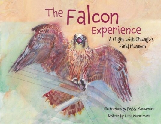 The Falcon Experience The Falcon Experience