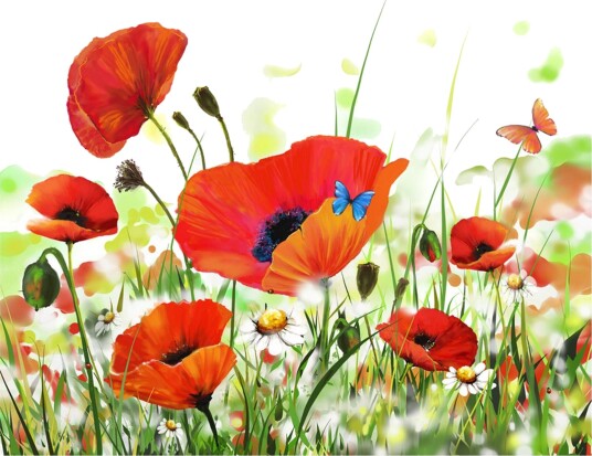 Fototapet Country Poppies 350x270 - Artgeist sp. z o. o.