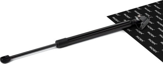 RIDEX 219G0501 Baklukedemper