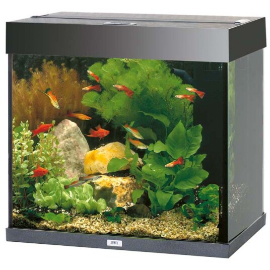 Juwel Akvarium LED Lido 120 Svart X