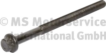 Stempelstang BF 20080393608 Stempelstang BF 20080393608