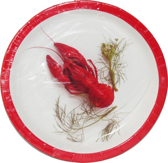 Inter Agenturer Ab Store Papptallerkener Kreps med Dill 4-pakning 62007