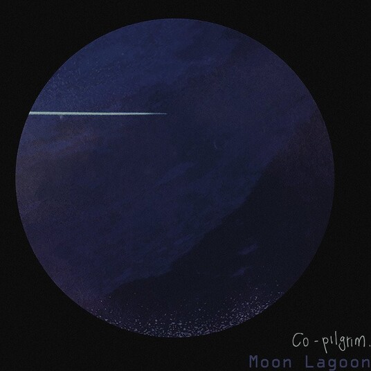 Co Pilgrim Moon Lagoon Vinyl