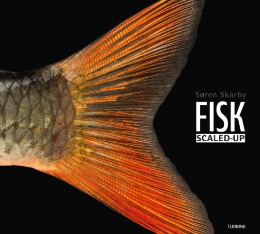 Fisk – Scaled-Up | Søren Skarby | Språk: Dansk