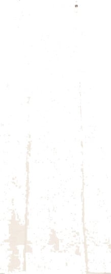 Liu Jo Dame Kjoler Hvit M, Liu Jo Dame Kjoler Hvit M,