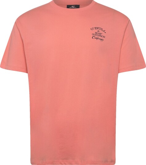 O"neill | O"neill Beach Chest Print T-Shirt | XS