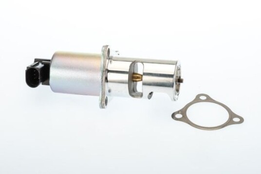 EGR Ventil WAHLER 710725D/1