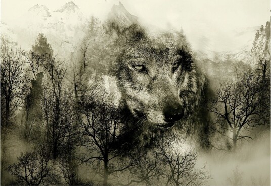 Fototapet Mountain Predator Beige 200x140 - Artgeist sp. z o. o.