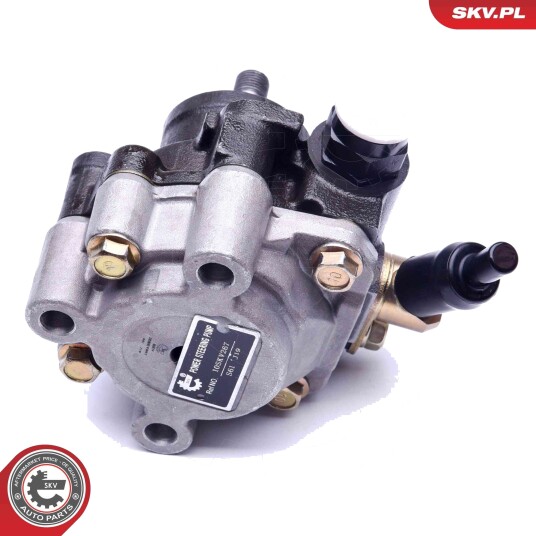 Servopumpe ESEN SKV 10SKV267
