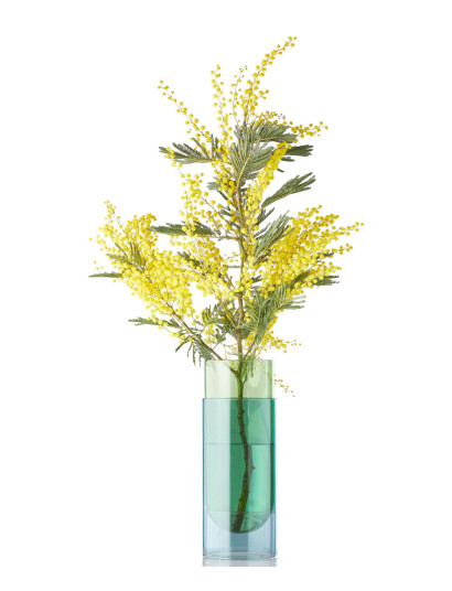 Studio About Bouquet Tube Green Studio About GREEN H27CM