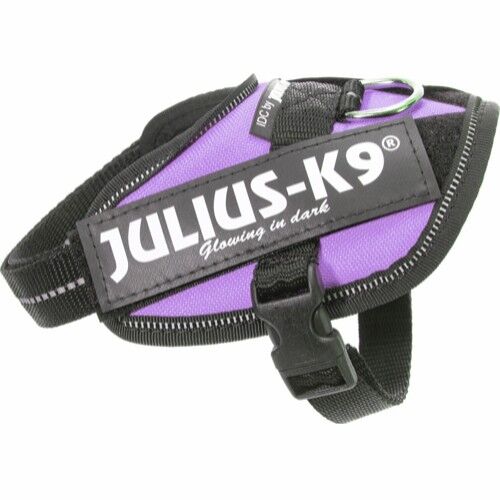 Julius-K9 Idc® Puppy Valpesele Purple (Baby2)