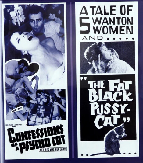 Confessions of a Psycho Cat 1967 + The Fat Black Pussy Cat 1963 Bluray