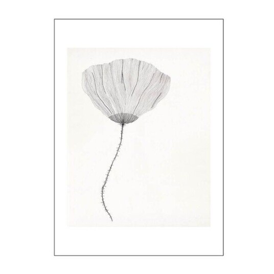 Poster & Frame The Poster Club x Ana Frois poster 50x70 cm poppy Poster & Frame The Poster Club x Ana Frois poster 50x70 cm poppy