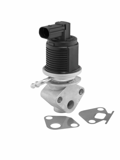 EGR Ventil WAHLER 712055D