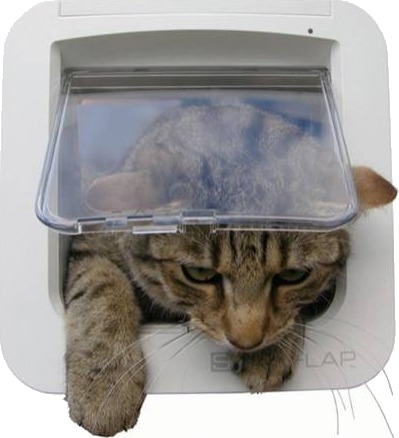 Sureflap Katteluke for Mikrochip Liten Hvit