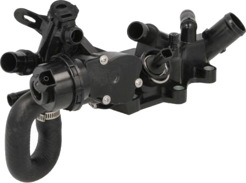 Termostat THERMOTEC D2R024TT