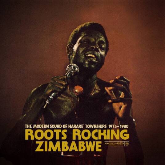 Roots Rocking Zimbabwe The Modern Sound Of Vinyl