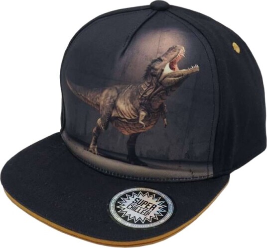 Maximo Kids Boy Cap "Dino"