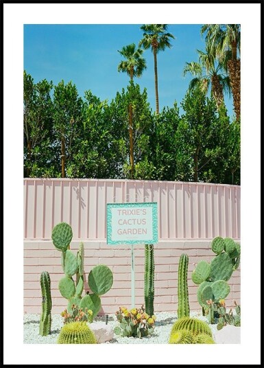 Pink Palm Springs IV Plakat Plakat / 21x30cm Pink Palm Springs IV Plakat Plakat / 21x30cm