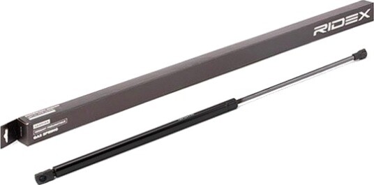 RIDEX 219G0622 Baklukedemper