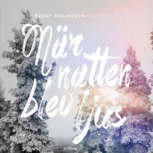 Bengt Johansson När Natten Blev Ljus CD