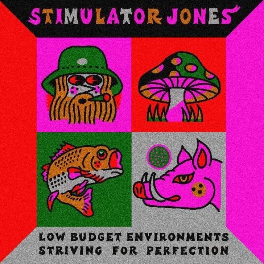 Low Budget Environments Striving For Perfection Vinyl