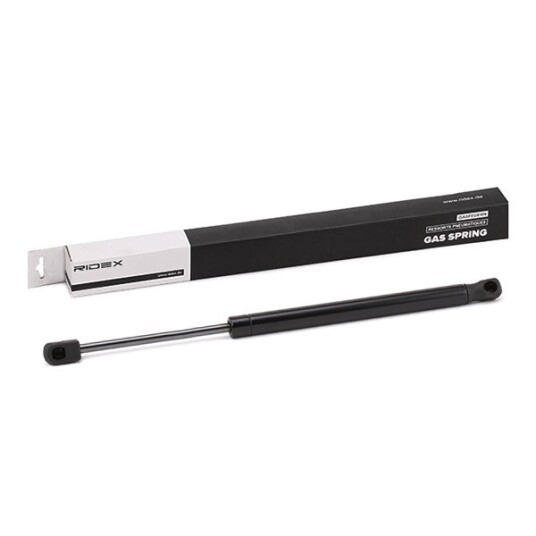 Baklukedemper RIDEX 219G0809