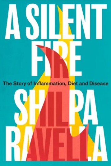 A Silent Fire Av Shilpa Ravella