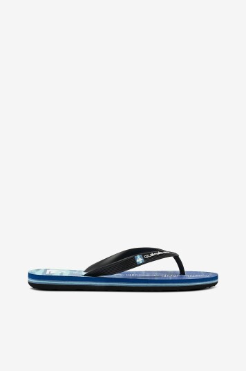 Quiksilver Flip flops Molokai Art II Youth Blå