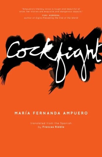 Cockfight Av Maria Fernanda Ampuero Cockfight Av Maria Fernanda Ampuero