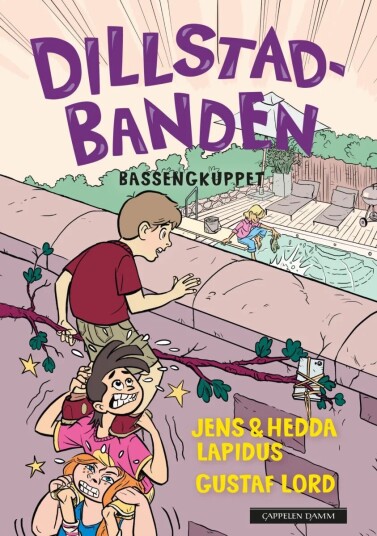 Bassengkuppet Av Hedda Lapidus, Jens Lapidus