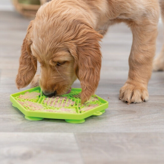 Trixie Lick'N'Snack Slikkematte Grøn 17 cm