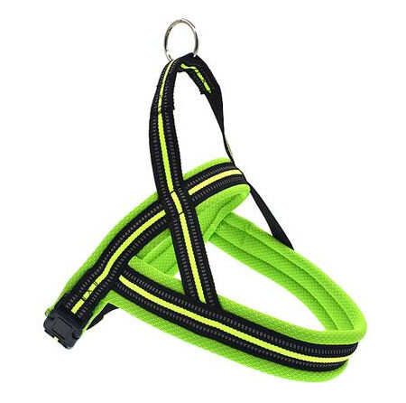 Neon Hundesele Med Refleks Og Padding
