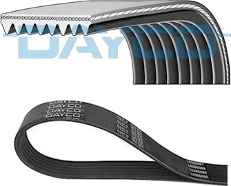 Kilerem DAYCO 8PK2285