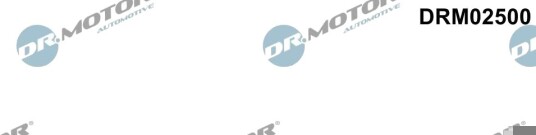 DR.MOTOR AUTOMOTIVE DRM02500 Akseltetningsring, kamaksel