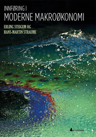 Innføring I Moderne Makroøkonomi Av Erling Steigum, Hans-Martin Straume