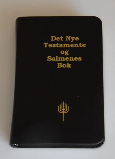 Det Nye Testamente Og Salmenes Bok