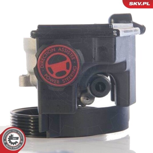 ESEN SKV 10SKV171 Servopumpe