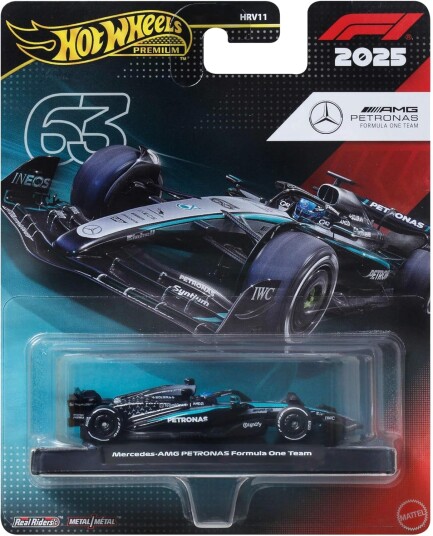Hot Wheels Race Team Mercedes-Benz Driver 1 Black One Size