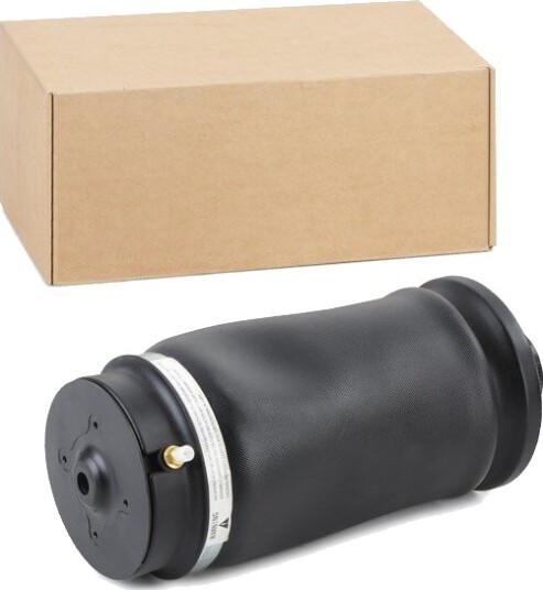 Luftdempere RIDEX 4118A0014