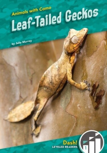 Leaf-Tailed Geckos Leaf-Tailed Geckos