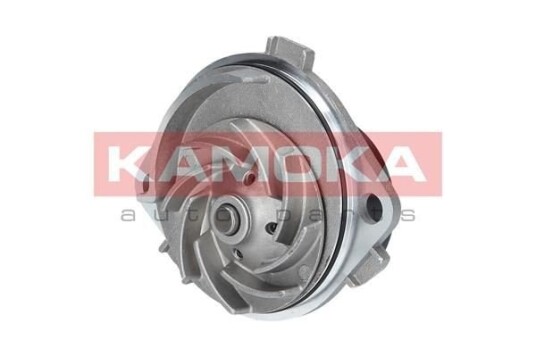 Vannpumpe KAMOKA T0111