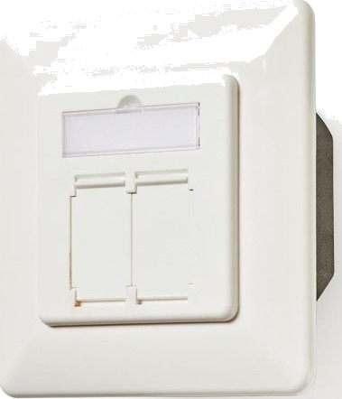Nedis 2-Port CAT6a Nettverksveggboks Hvit med Gullbelagte Kontakter Nedis 2-Port CAT6a Nettverksveggboks Hvit med Gullbelagte Kontakter
