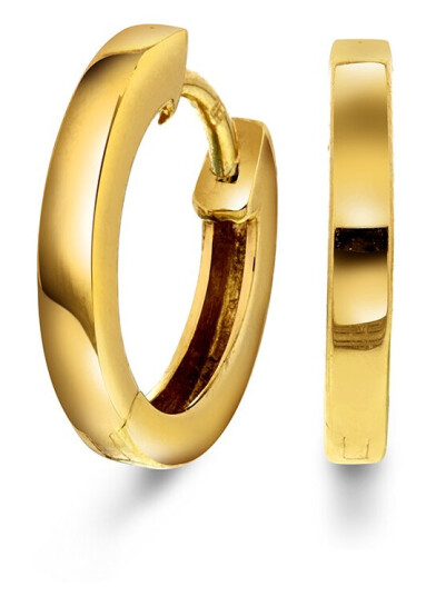Pan Jewelry Øreringer i 585 gult gull