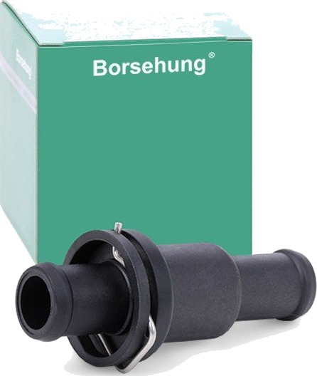 Borsehung B18776 Termostat, kjølemiddel