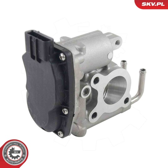 EGR Ventil ESEN SKV 14SKV294