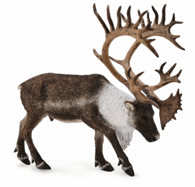 Figur Collecta Caribou reinsdyr 12cm Figur Collecta Caribou reinsdyr 12cm