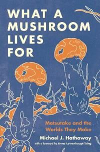 What A Mushroom Lives For Av Michael J. Hathaway